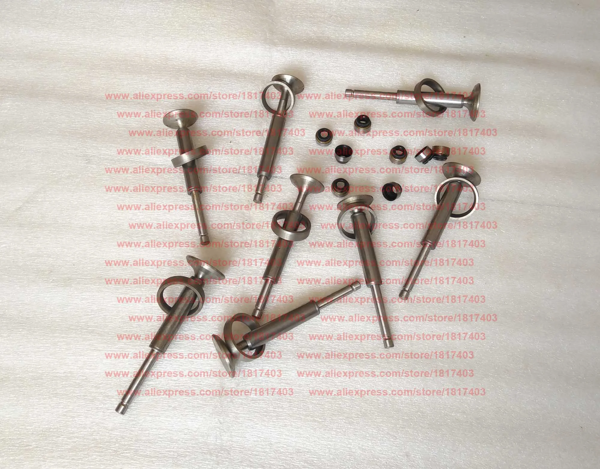 Yangdong Y480G Valve Repair Kit , Exhaust valve, Intake valve, Valve stem guide, Exhaust / Intake valve seat, Valve oil seal