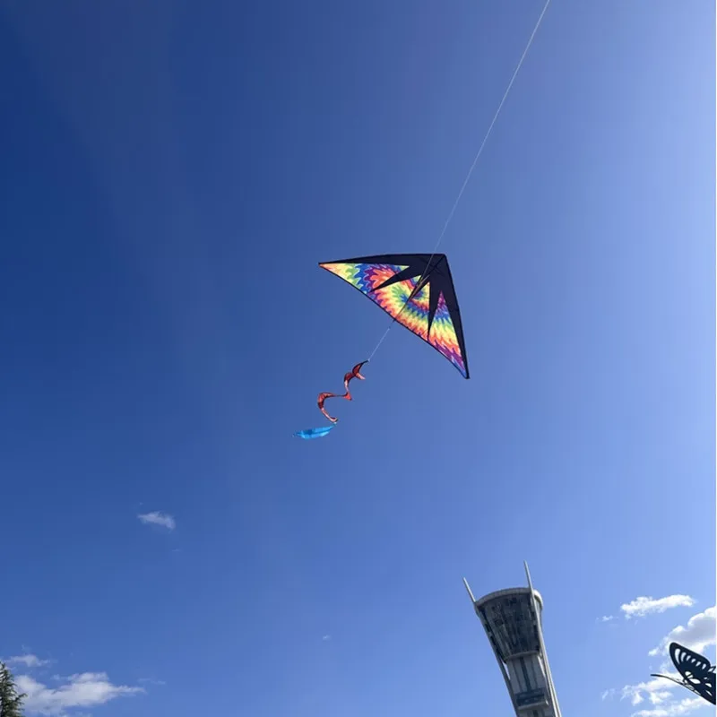 Delta vliegers vliegen voor kinderen vliegers fabriek Outdoor speelgoed vlieger professionele vlucht vlieger Gaori kyen elektrische kolf outdoor games koi