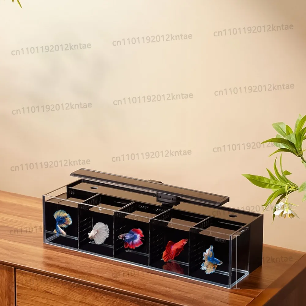 Multi-format modular partition aquarium system self-cleaning glass fish tank built-in filter small ecological water change