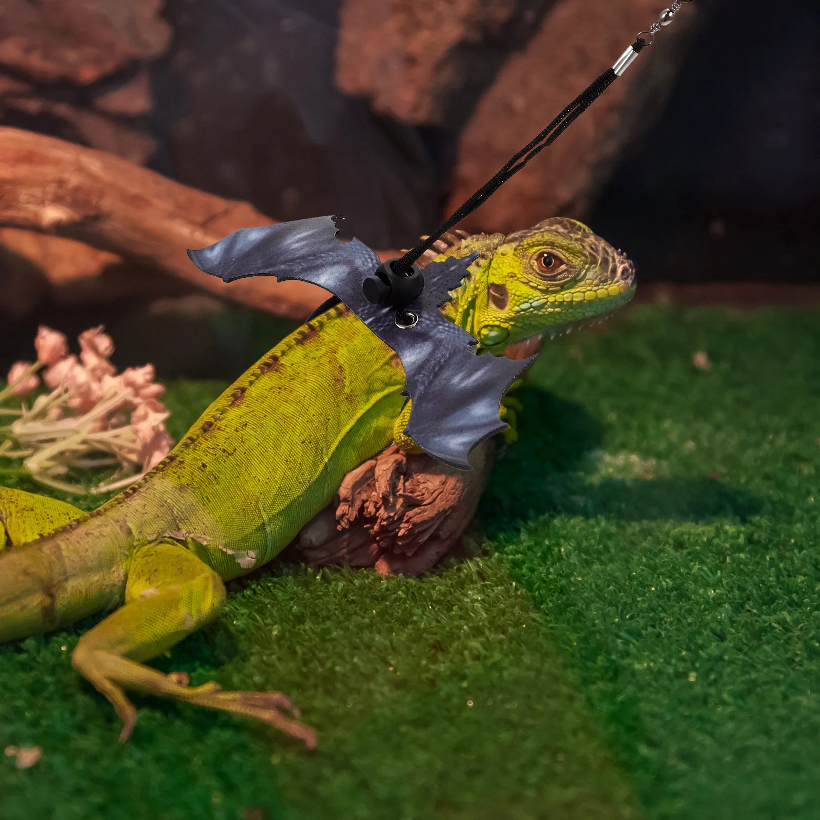

Crawl Pet Leash Lizard Pulling Rope Cloth Iguana Harness Bearded Dragon Leashes and Harnesses