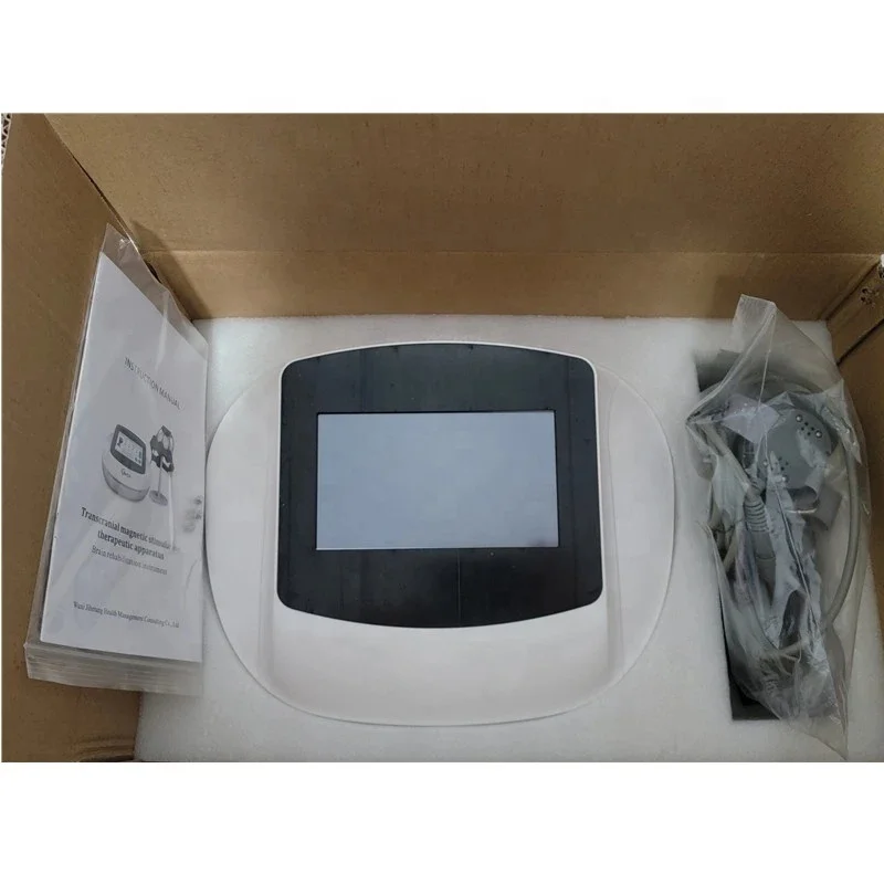 Physiotherapy Transcranial Magnetic Stimulation Apparatus for Home Use