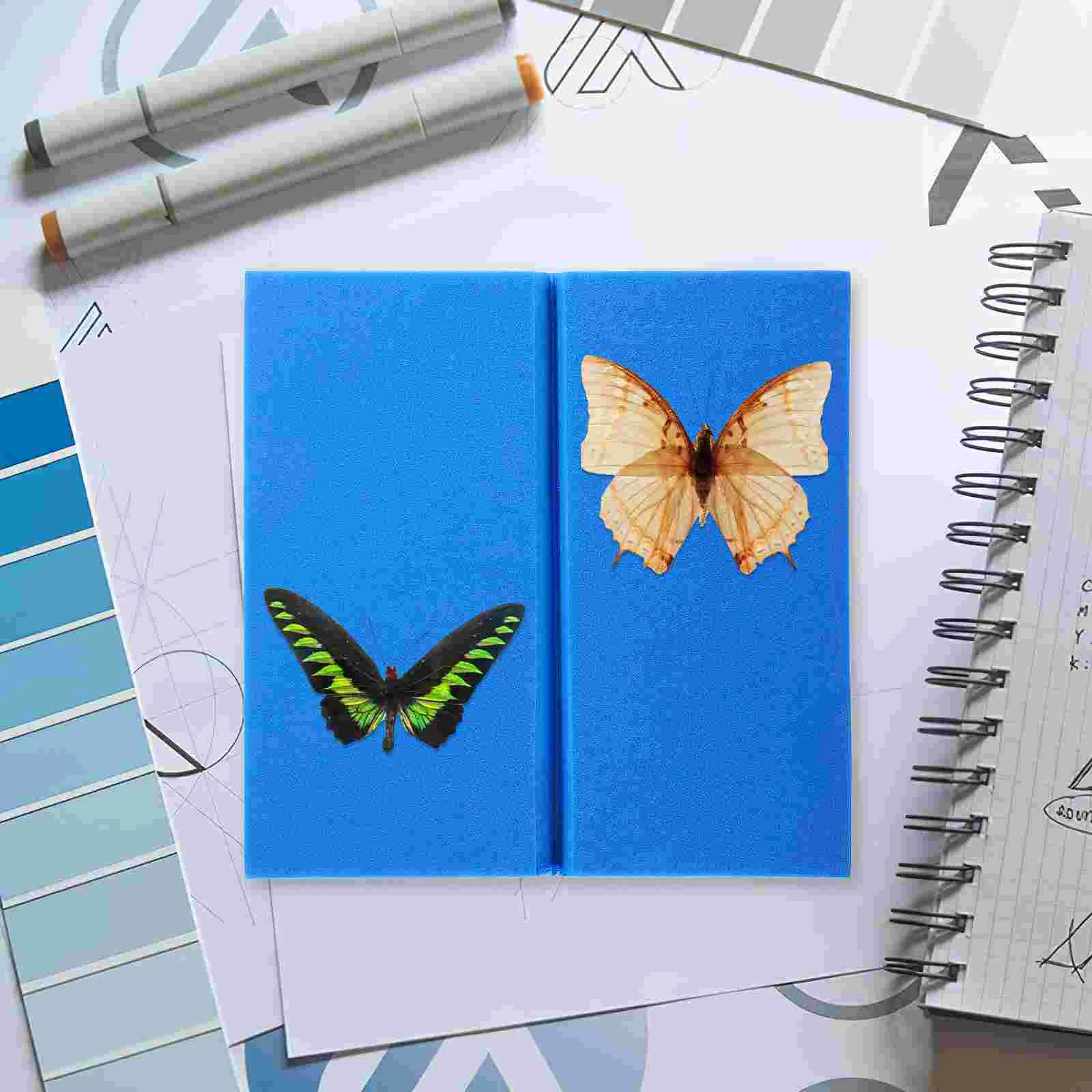 Posture Table Foam Boards Specimen Display Insect Pinning Tool Case Mounting Entomology Kit Butterfly Spreading Fixed Plate