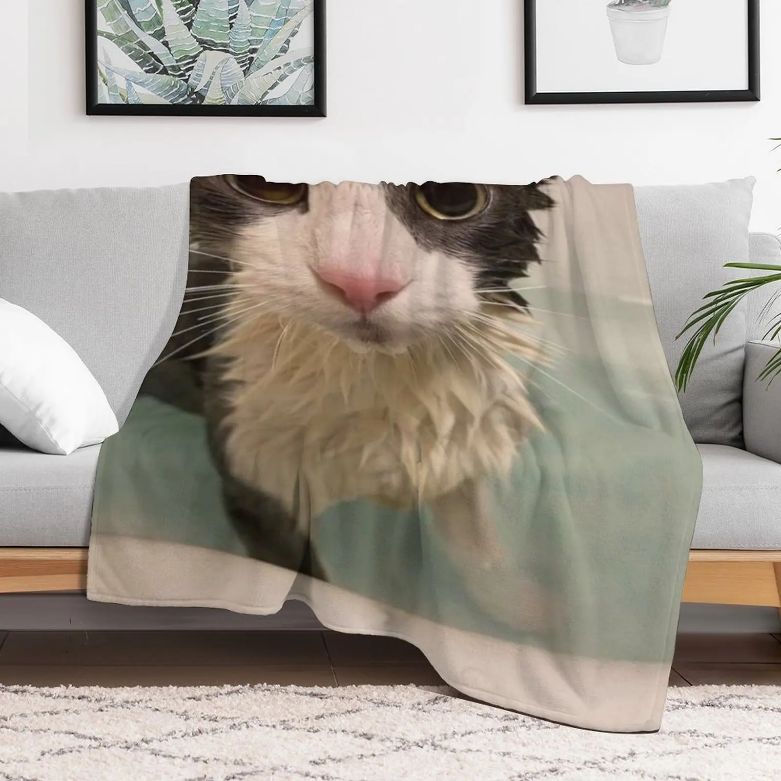 Soggy Cat Throw Blanket