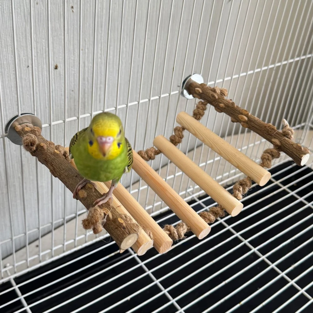 #9 Bird Cage Ladders Comparison Guide
