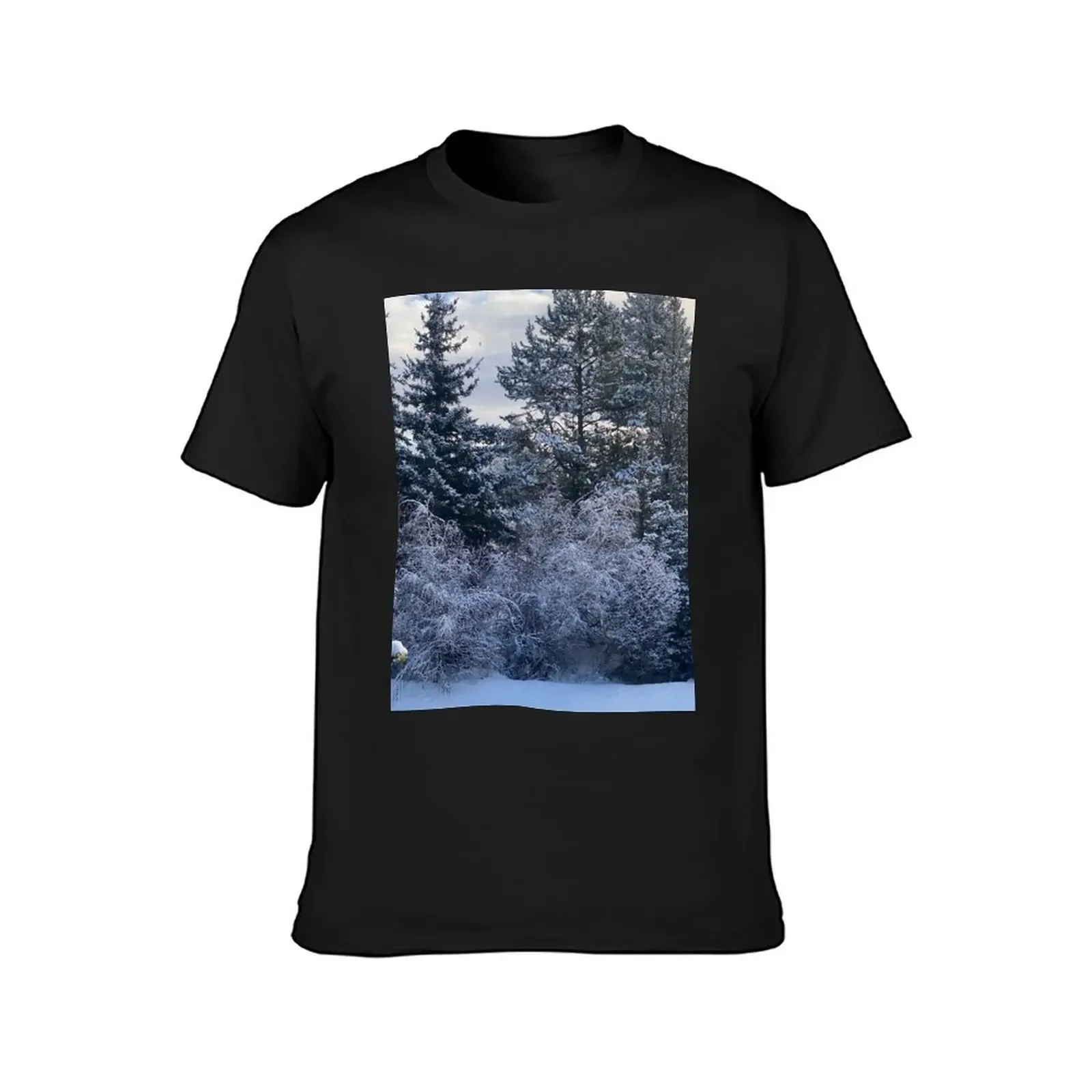 Winter wonderland T-Shirt aesthetic clothes hippie clothes graphics Aesthetic clothing mens t shirts