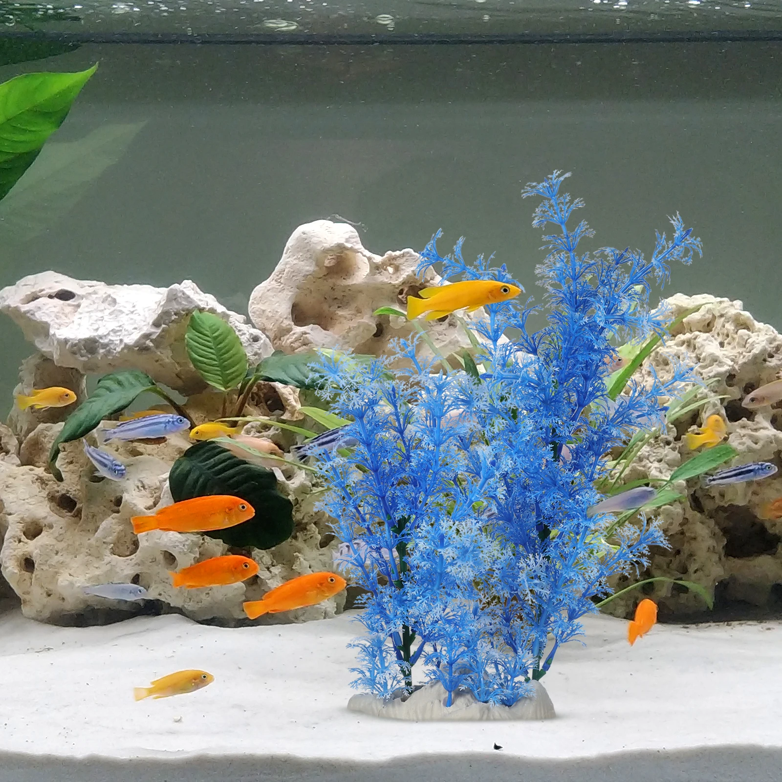 

Blue Aquatic Grass Large Artificial Plants Tall Betta Fish Tank Decorations Simulation Safe Durable Aquarium Pet Supplies