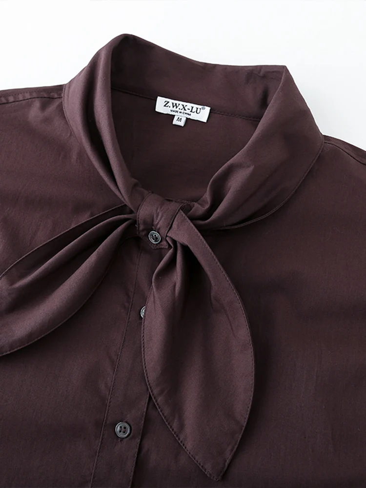 European style new women's clothing, fashionable, versatile, elegant, casual, loose-fitting long-sleeved scarf, poplin shirt.