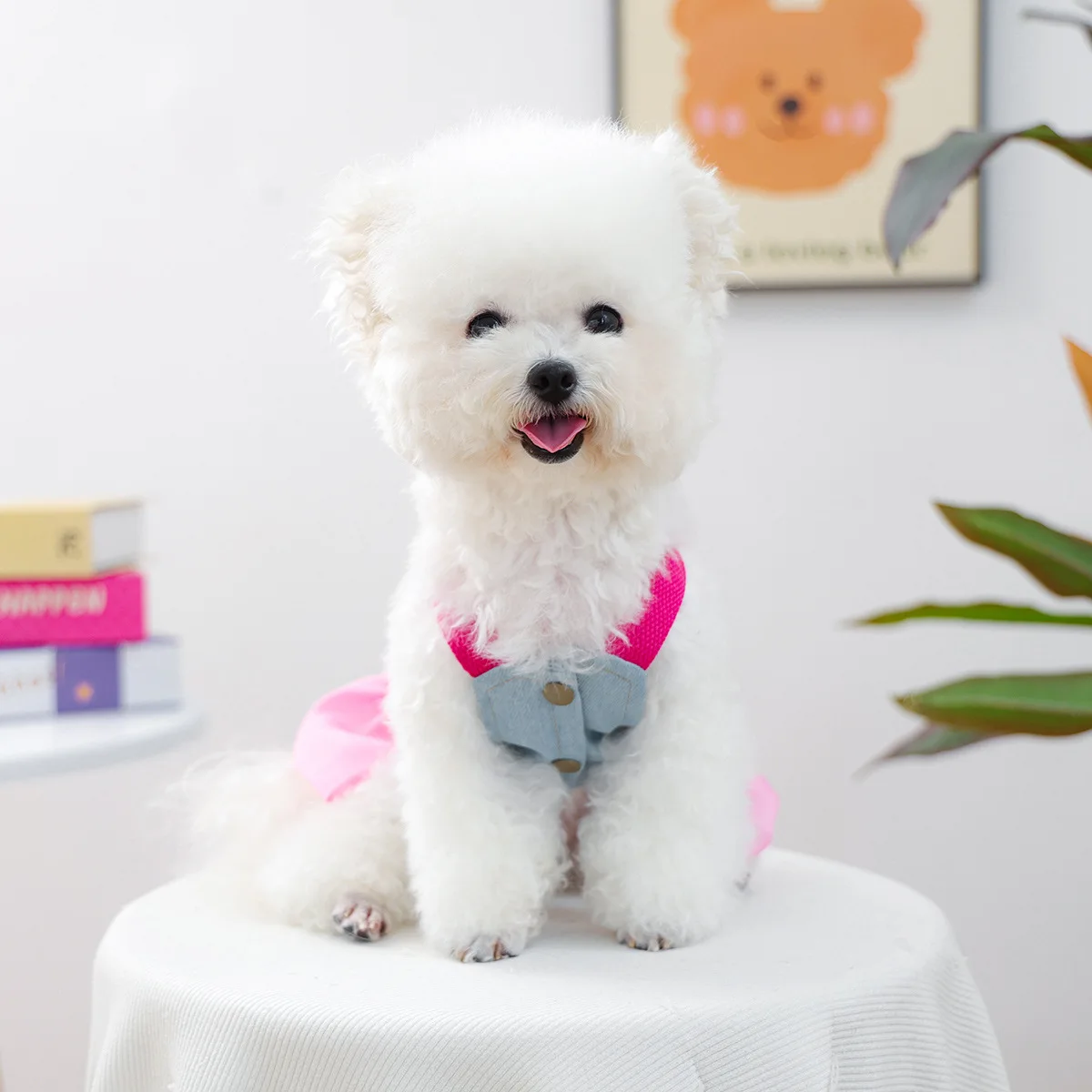 Thumbnail 3 - #13 Trending Dog Jumpers Right Now