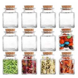 Small Glass Bottles with Cork Stoppers 1.7 oz (50ml) Mini Jars with Twine Blank Tags for Gift Favors Honey Spices Crafts