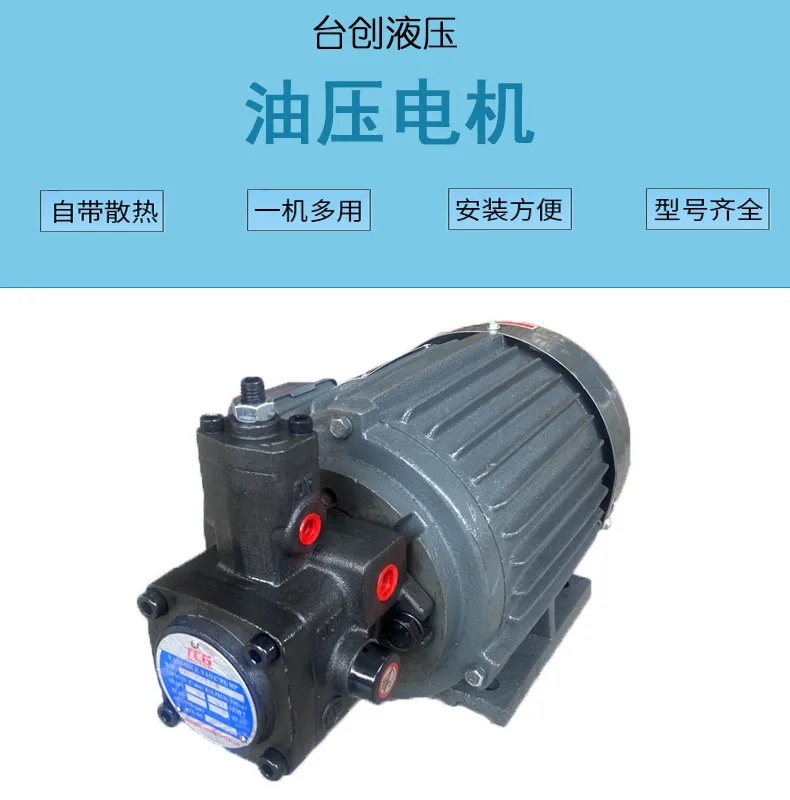 Hydraulic motor plug-in oil pump motor 0.75KW/1.5KW/2.2KW with VP20/VP15/VP30