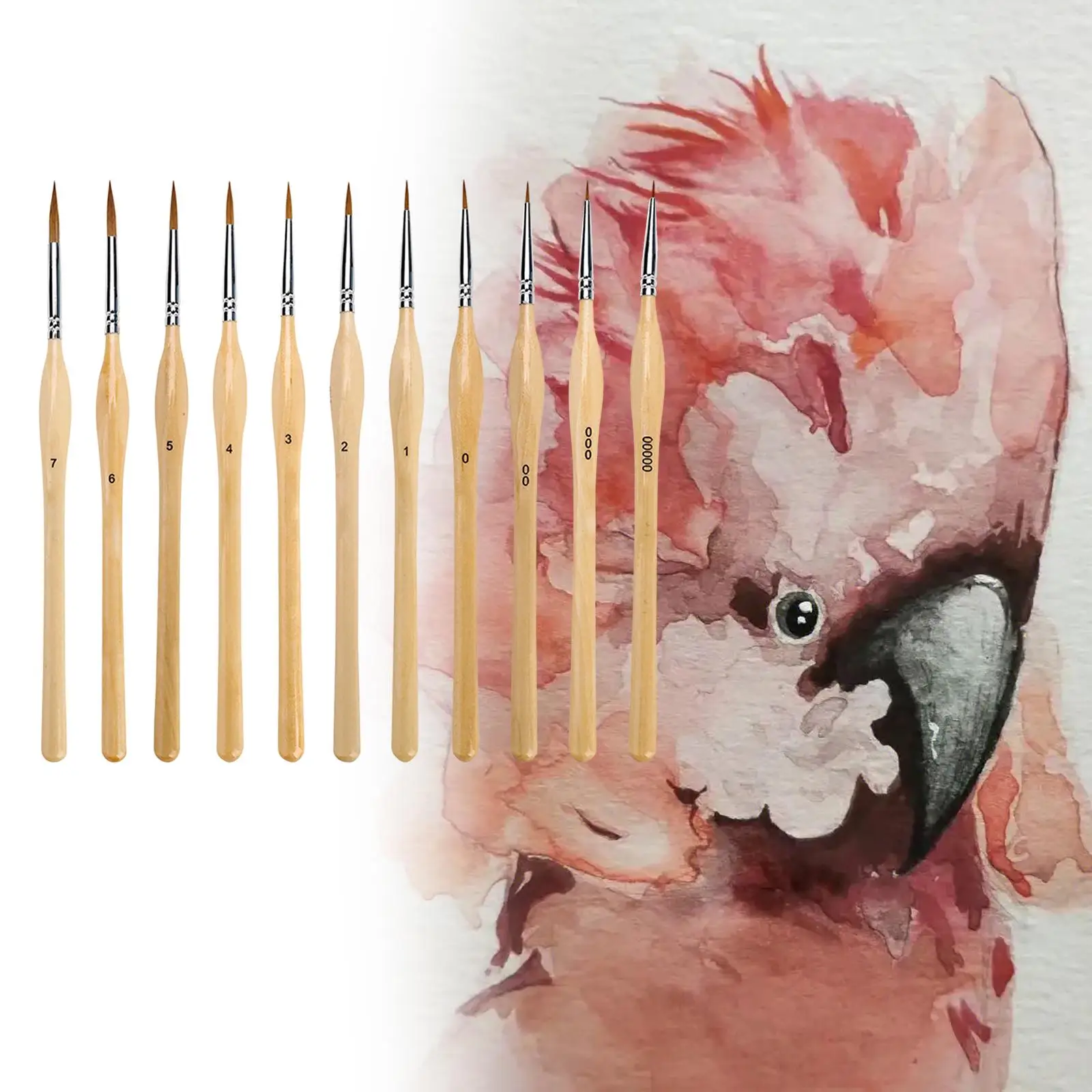 11x Detail Paint Brushes Acrylic And Watercolor Painting for Sculpting Model