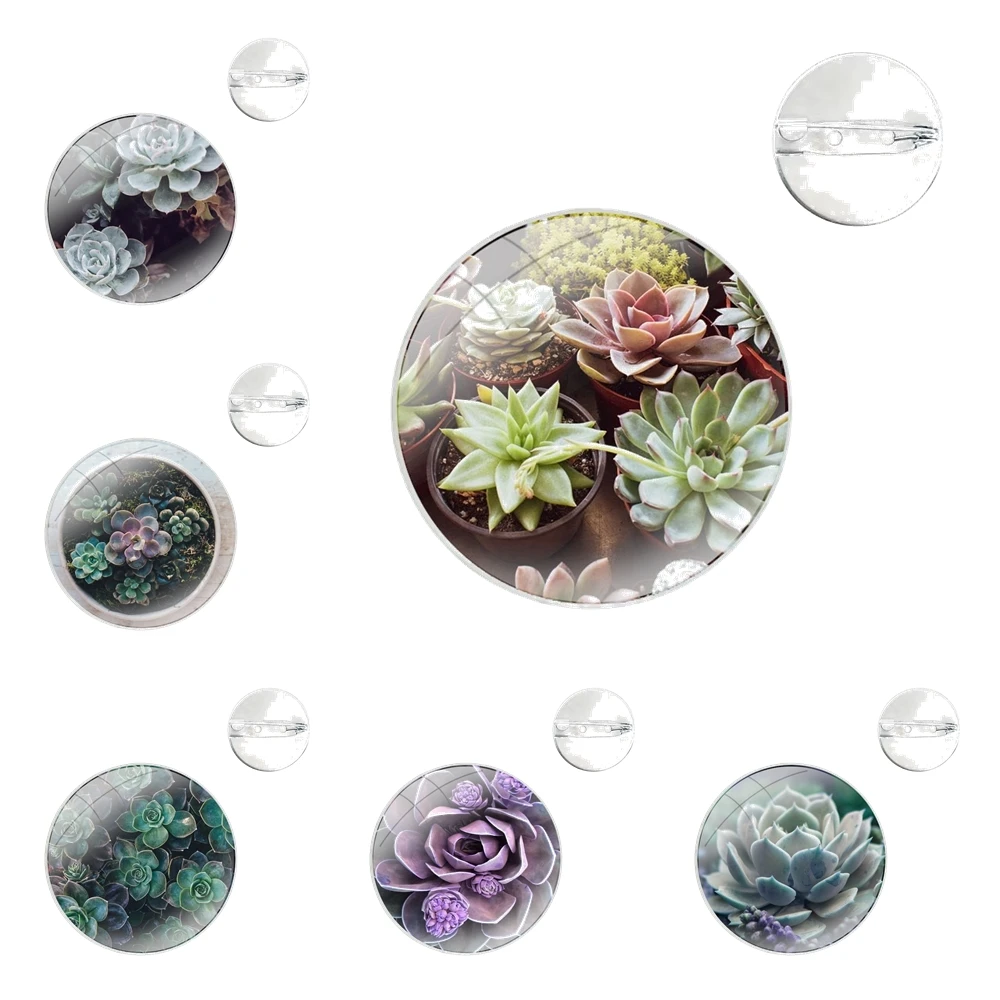 Lovely Potted Succulent Plants Pins Badge Metal Brooches For Clothes Backpack Decoration gift