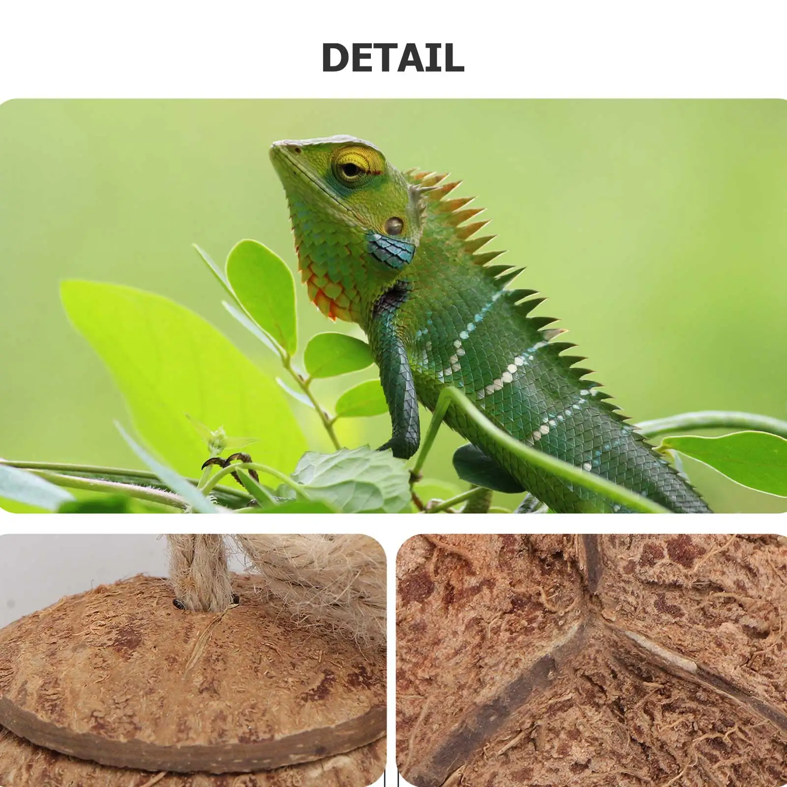

Leopard Print Coconut Shell Nest Vine Set Hide for Reptiles Artificial Grass Lizard