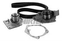 Wpk-19901) for eccentric tensioner KIT (133 × ×) MEGANE II LAGUNA II LAGUNA II LAGUNA II LAGUNA 04 SCENIC II LAGUNA) G