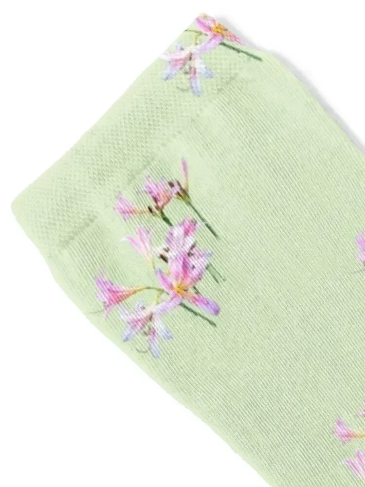 Pink Lilies (Amaryllis) (on Pale Spring Green+Pink) Socks soccer anti-slip short Men's Socks Luxury Women's