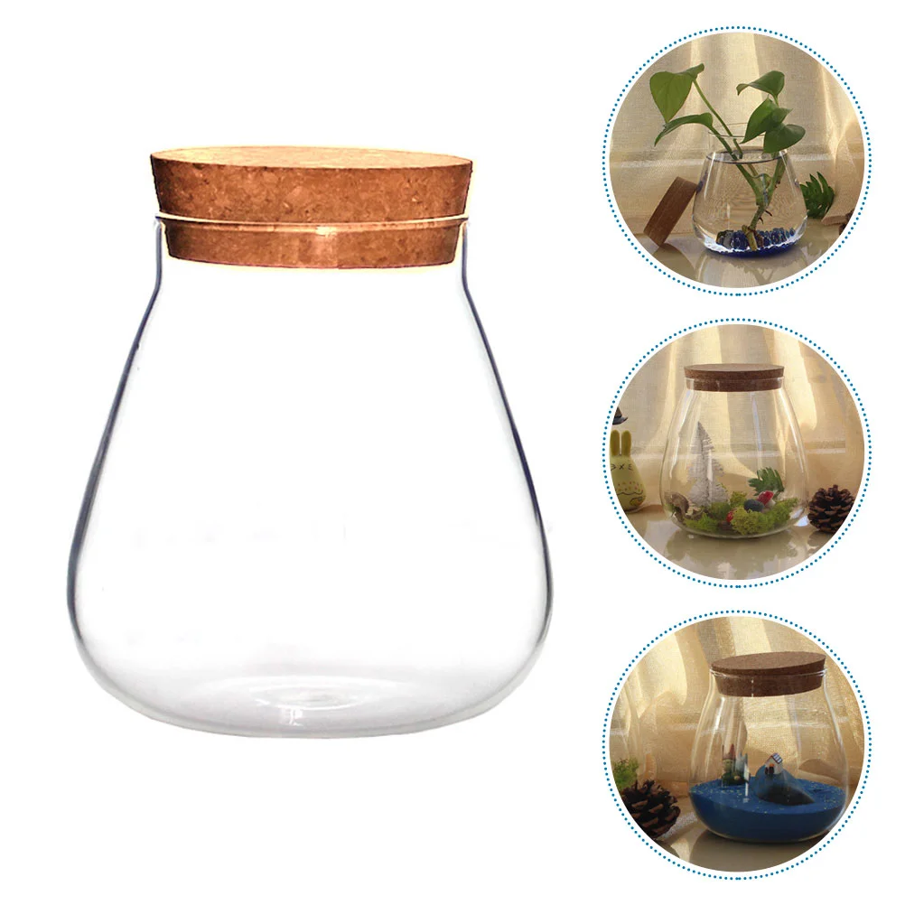 

Watch Cork Glass Bottle Travel Plant Round Terrarium with Lid High Borosilicate Clear