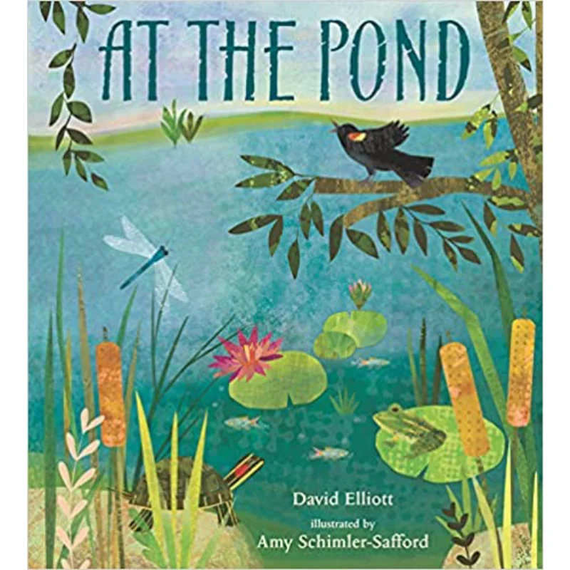 

At The Pond David Elliott Candlewick Press 9781536205985 Книга