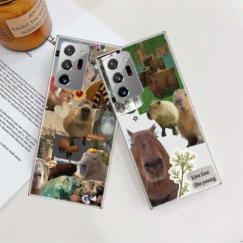 Funny Capybara Phone Case For Galaxy Note 20 Ultra 10 9 8 A05S A55 A35 A25 A15 A9 A8 A7 A6 J8 J6 J4 Plus Cover TPU Capa Coque