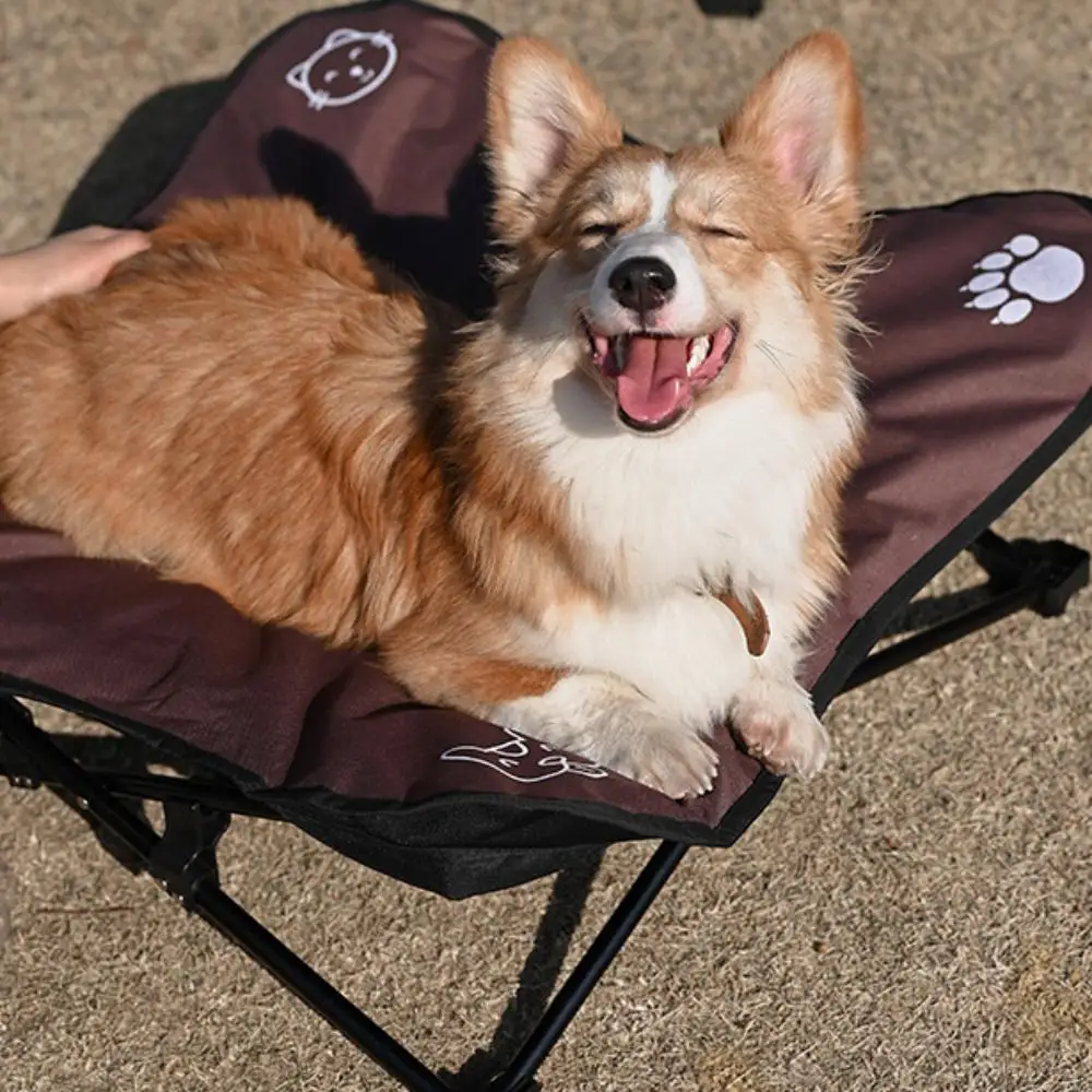 Outdoor pet bed Aluminum alloy cross-border camping bed portable camping trip Ultralight cat and dog beach folding bed