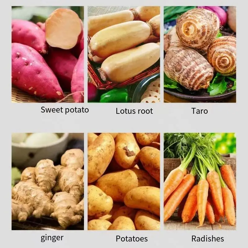 เครื่องปอกเปลือกผักผลไม้ 750 วัตต์ สำหรับร้านอาหาร โรงอาหาร ปอกมันฝรั่ง ล้างผัก เช่น บัวหลวง แครอท พริก ผลไม้ เช่น ลูกแพร์