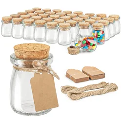 Decorative Glass Bottle with Cork Stopper 100ml Clear Glass Bottle with Cork Stoppers Pudding Jars 3.4oz Mini Yogurt Mason Jar