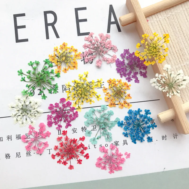 12PCS/Pack Nail Supplies 3D Natural Babysbreath Dried Flower Sticker For Nails Art Decoration Floral Design Manicure Accessories