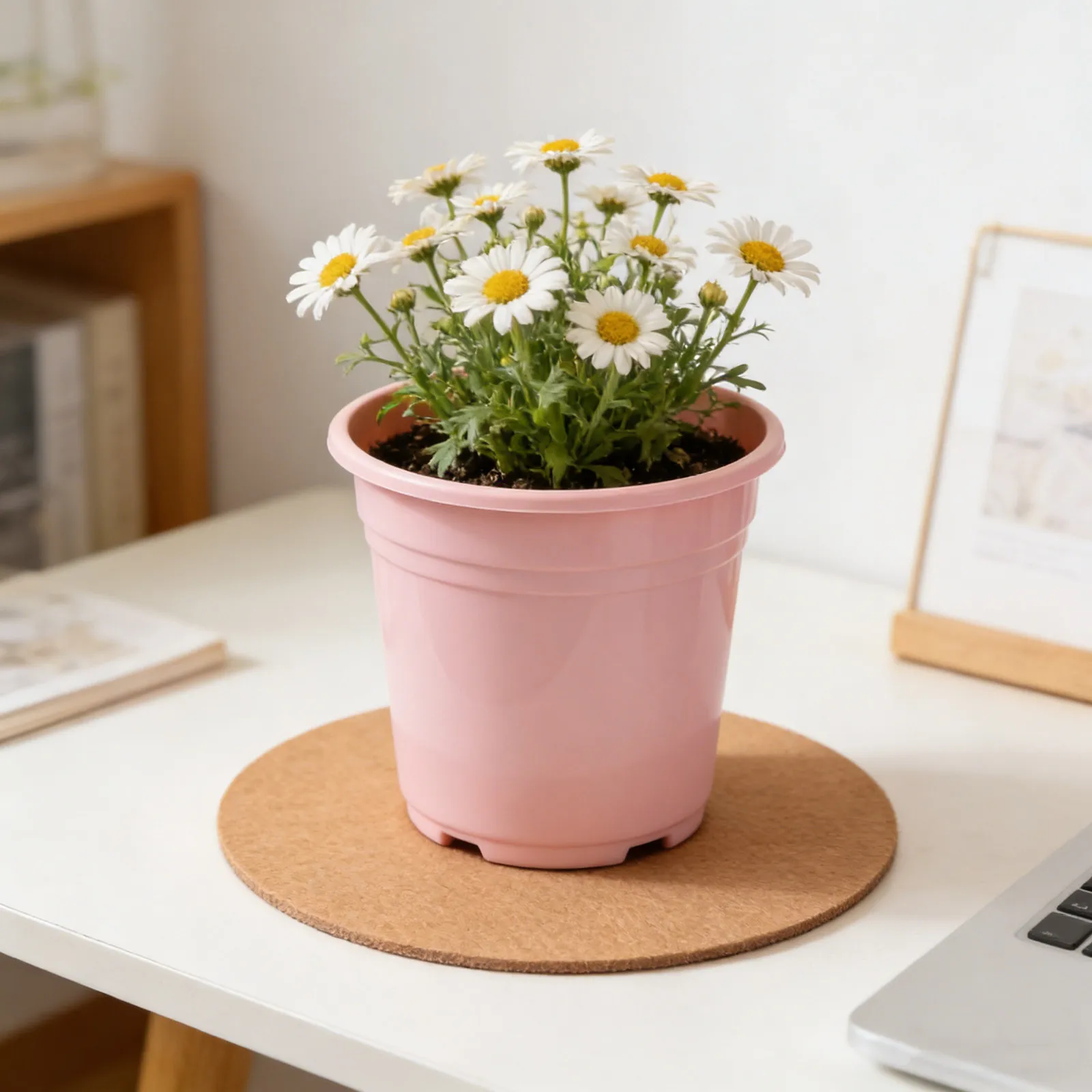 10Pcs Absorbent Plant Coasters Reversible Fabric Round Flowerpot Mats 20Cm Felt Base Pads Indoor Outdoor Plant Pot Protectors