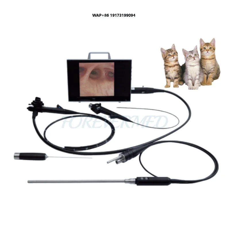 Clinical veterinary high definition multifunctional surgical diagnosis 3mm diameter ENT portable endoscopic system with 11.6inch