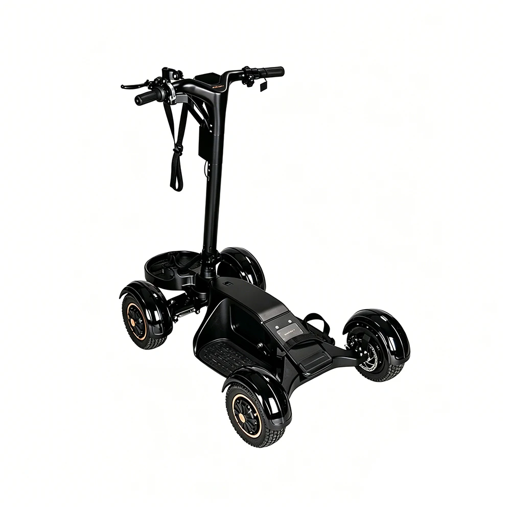 New Product 2000W Electric Golf Cart 48V LG20Ah Lithium 3 Speed Ride on Golf Buggy Aluminum