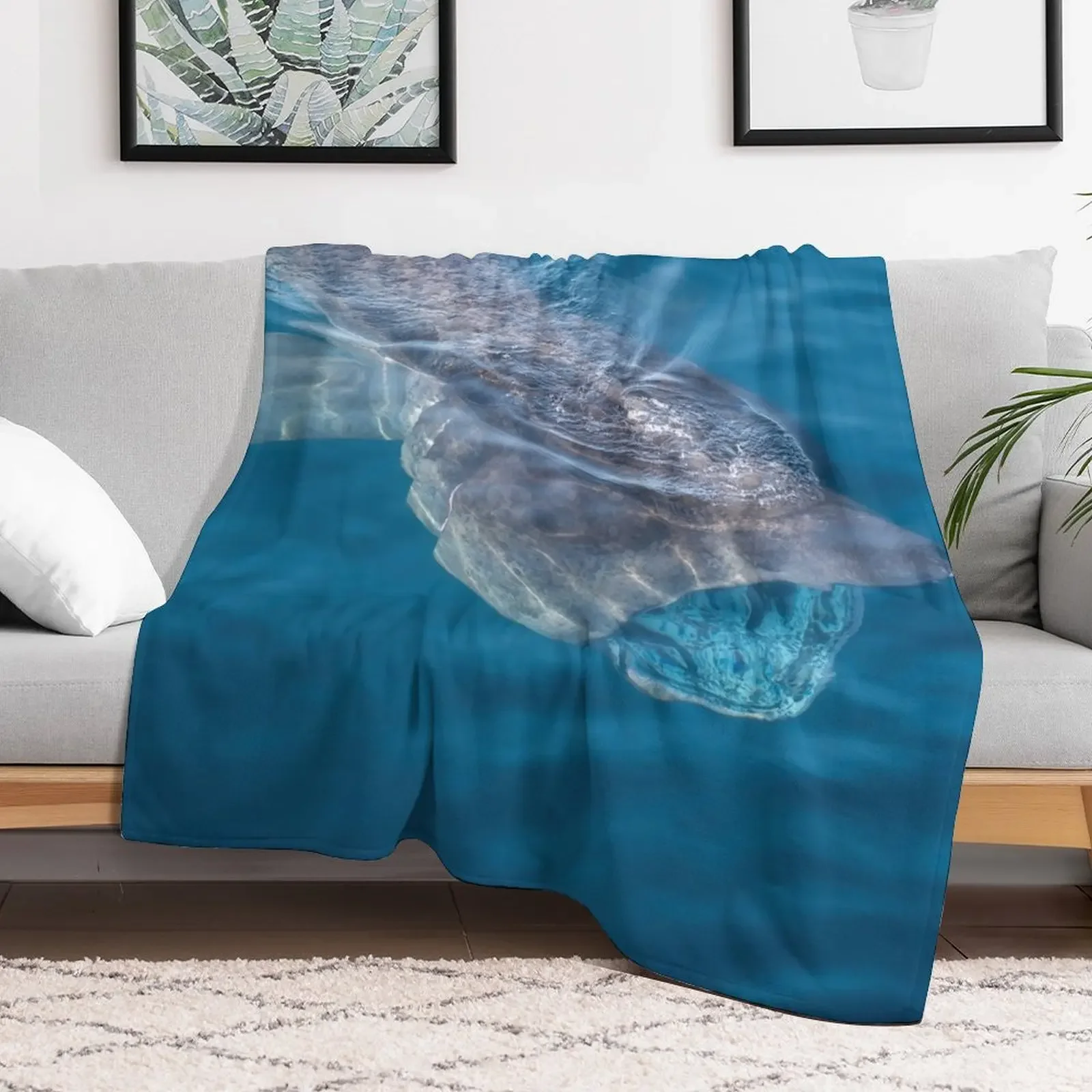 Basking Shark, West Cork, Ireland Throw Blanket Spring Fall Cozy Throw Blanket for Couch