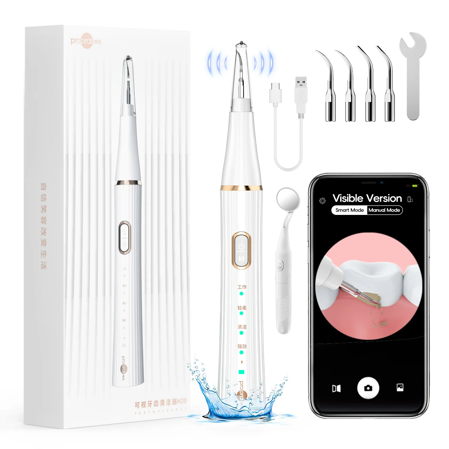 Visible Plaque/Tartar Remover for Teeth, Dental Calculus Remover Cleaning Kit with Led Light- 4 Heads, Teeth Cleaner for Home