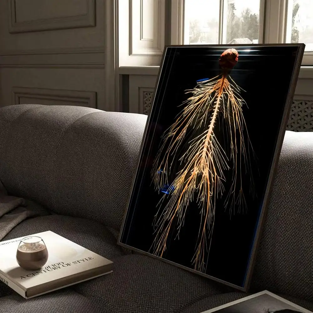 Human Nervous System Poster Wall Art Mural Photo Print Decorative Poster Sticker for Living Room Home Decor