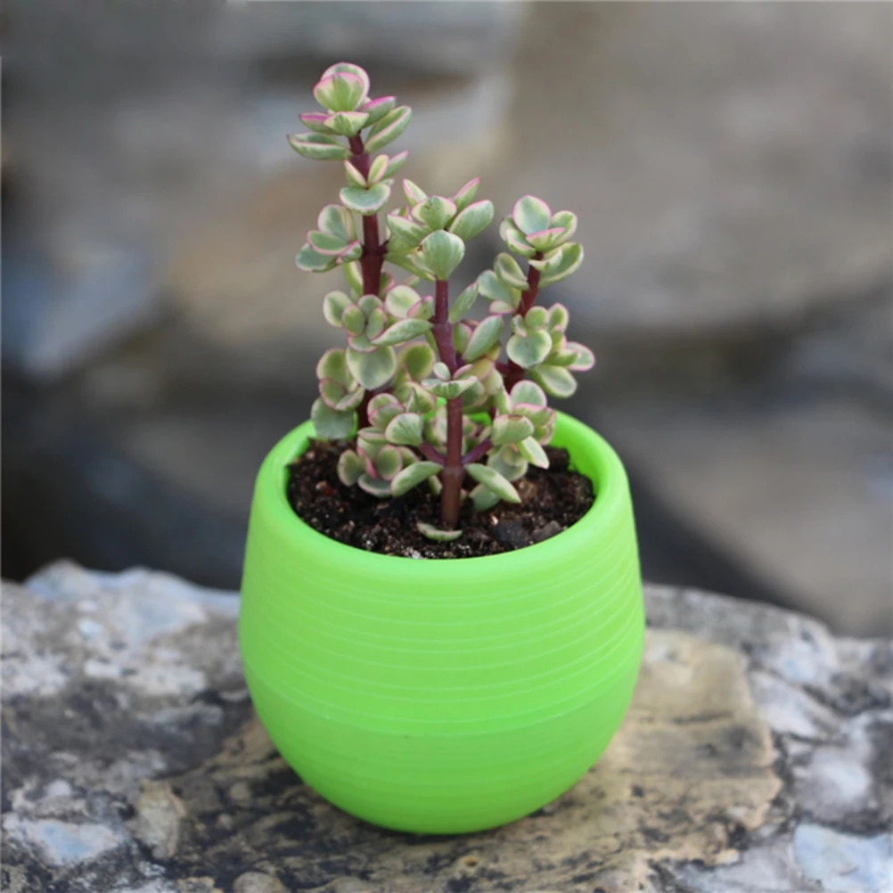 

Small Resin Succulent Plant Pot Round Shape for Indoor Outdoor Decoration Brighten Your Windowsill Table Top with Cute Planter