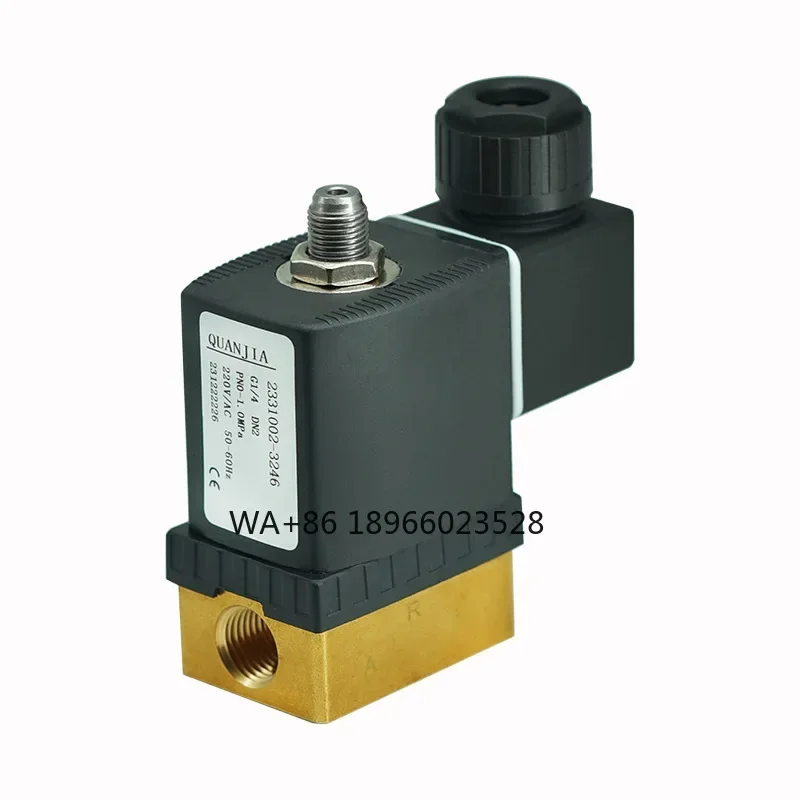 6013 Series Two Position Two-way Direct Acting Solenoid Valve Normally Closed Micro Solenoid Valve for Liquid Gas