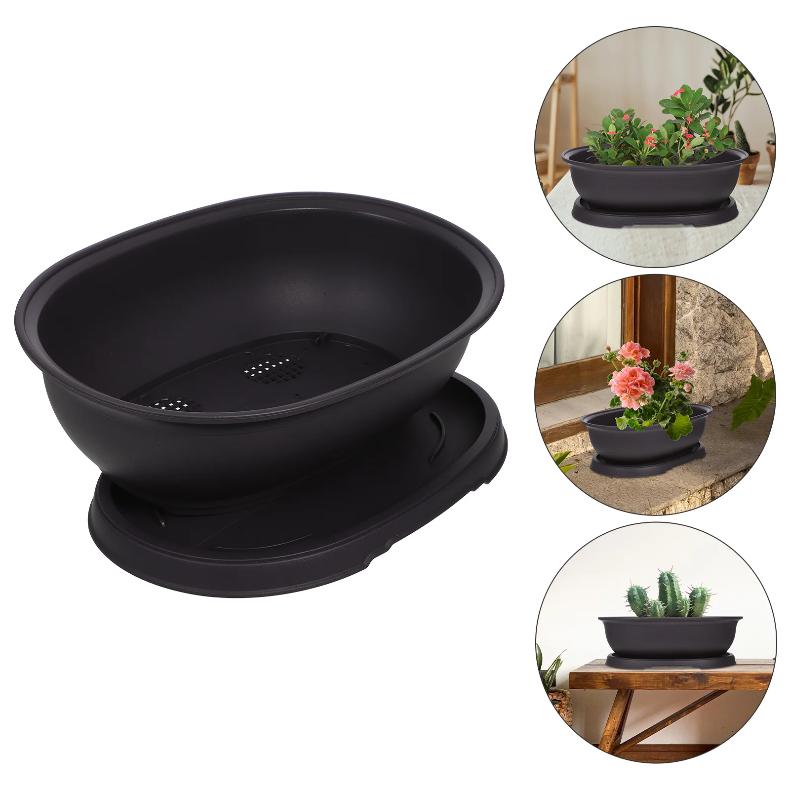 

Plants Oval Bonsai Pot Planting Succulent Container Garden Plastic Pots The Dish Planter Dark Brown