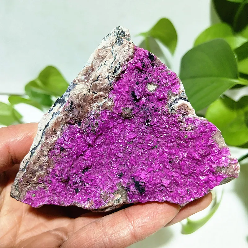 Natural Stone Cobaltocalcite Pink  Crystal Raw Rock Mineral Specimen Room Decor Feng Shui Ornaments Chakras Reiki Healing Stones