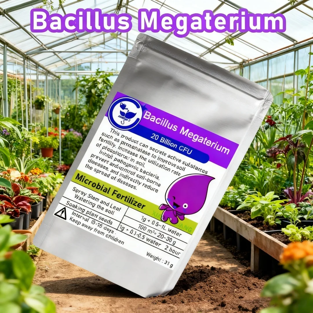 Fertilizantes microbianos Bacillus Megaterium de 30g para mejorar el suelo, solubilización de fósforo y promoción del crecimiento de cultivo