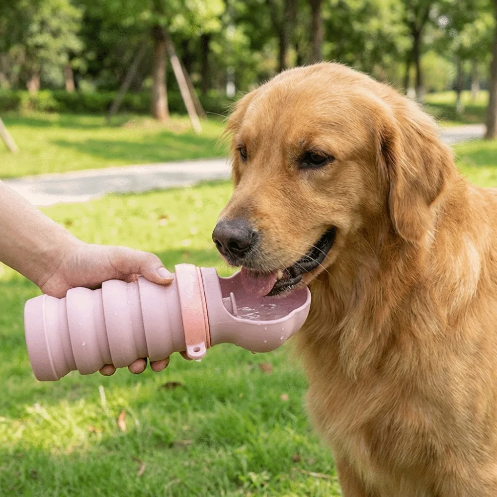 

Silicone Collapsible Dog Water Bottle Food Grade Large Capacity Dog Water Cup Detachable Leak-proof Dog Squeeze Bottles Hiking