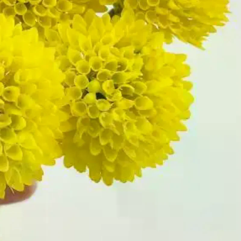 Artificial Flower Arrangement Pom Flowers Dianthus Stems Realistic Fake Flowers For Home Office Wedding Vase Decoration