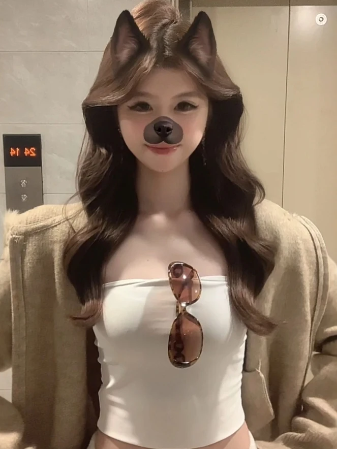 

Корейский модный осенний трикотажный джемпер с большим меховым воротником и капюшоном, на молнии, с длинными рукавами, для невысоких фигур