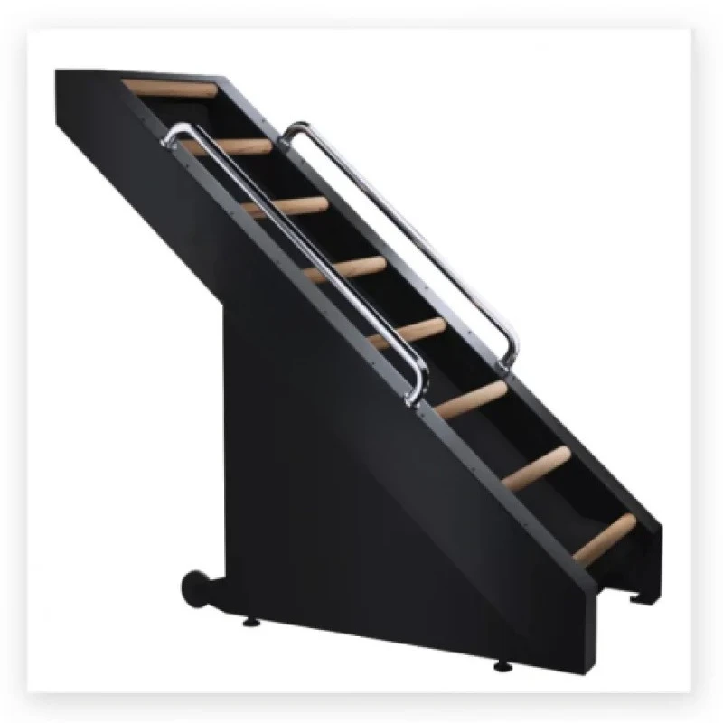 Commercial Gym Stair Climber Professional Fitness Stair Climbing Machine