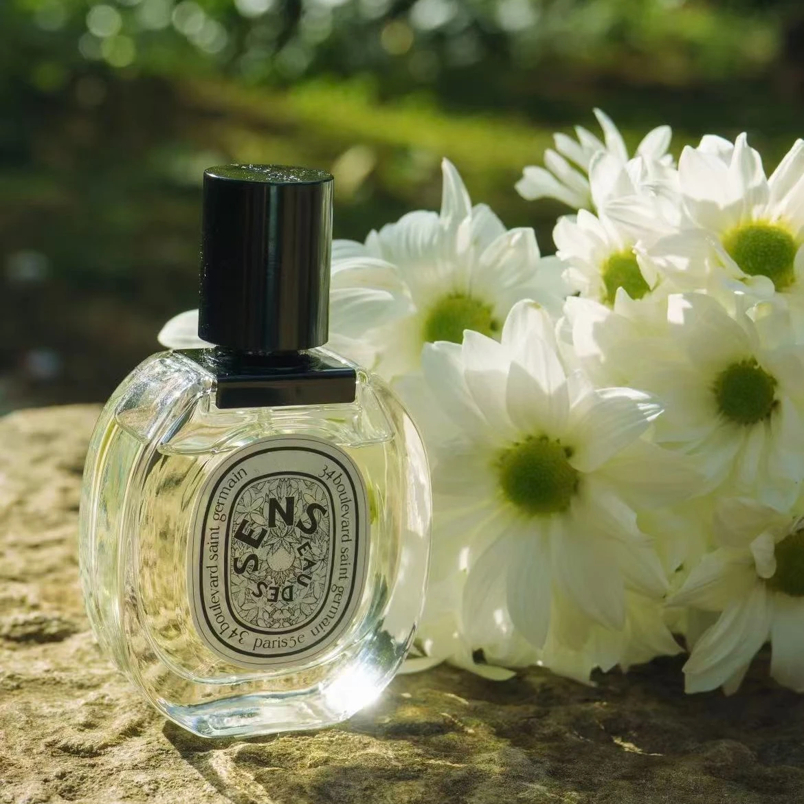Perfume de marca más vendido de 100ML con un aroma lanudo tranquilo y cálido notas florales sutiles perfecto para desplazamientos o dátiles fácil de usar