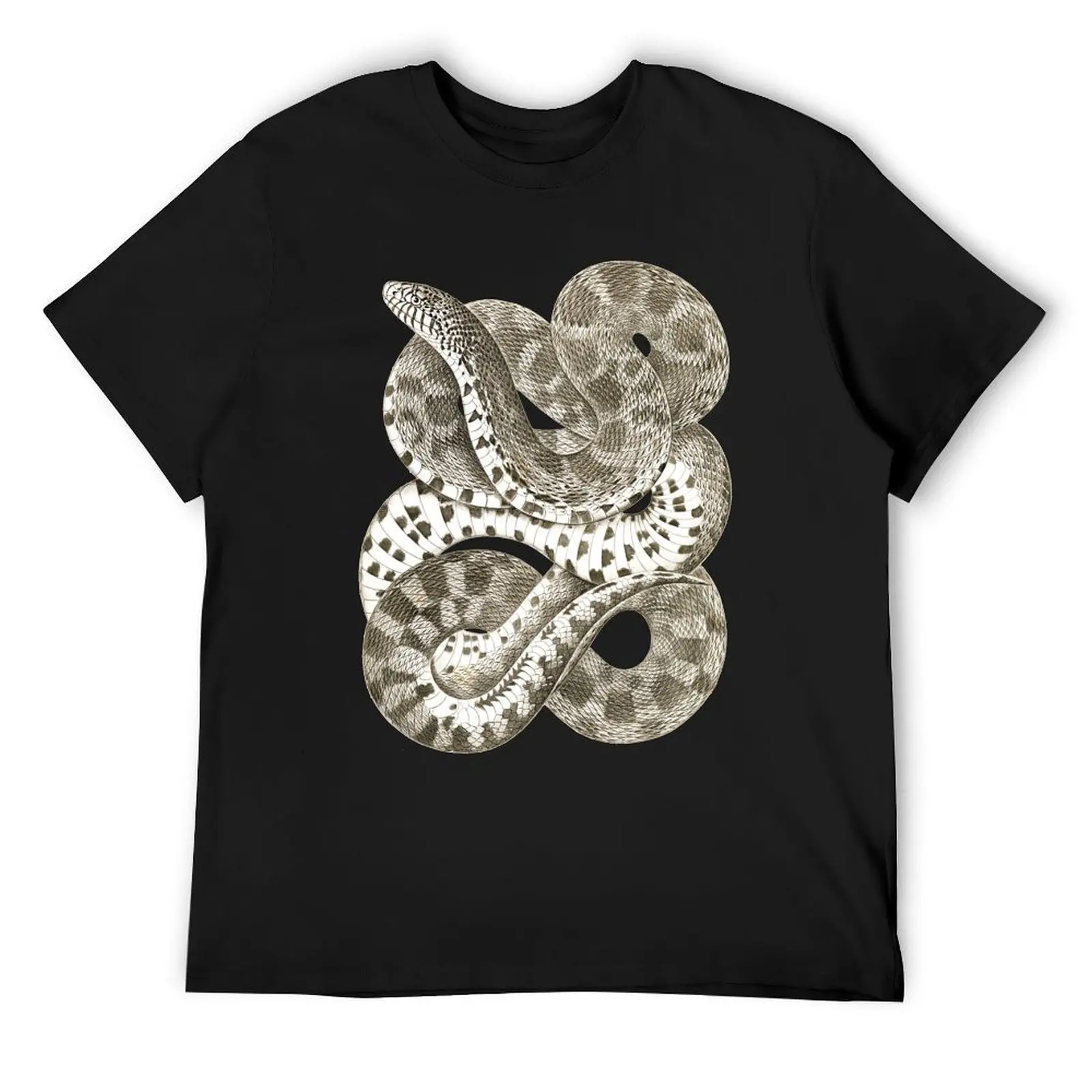 Antique zoology: drawing of prairie bull snake T-Shirt quick-drying tees heavyweights man t shirt mens plain t shirts