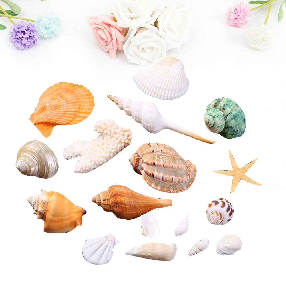 

Natural Shell DIY Craft Charms Conch Star Small for Home Decoration Beach Theme Wedding Party Scrapbook Fish Tank Vase Filler
