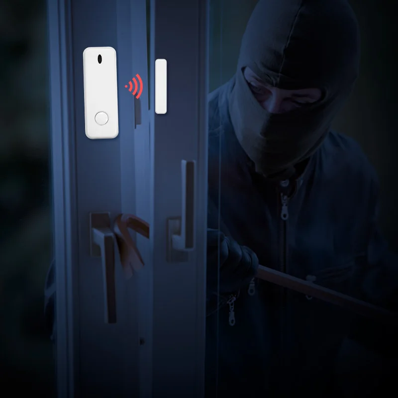 D10 Window Door Sensor Alarm 433MHz Wireless Magnet Sensor Detector Burglar An-theft For G20 G30 Home Security Alarm System