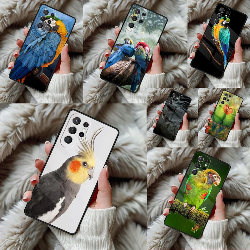 Animal Macaw Parrot Colourful Phone Case For Samsung Galaxy S24 S25 S26 Ultra S22 S23 Plus S21 S20 FE Note10 TPU Cover