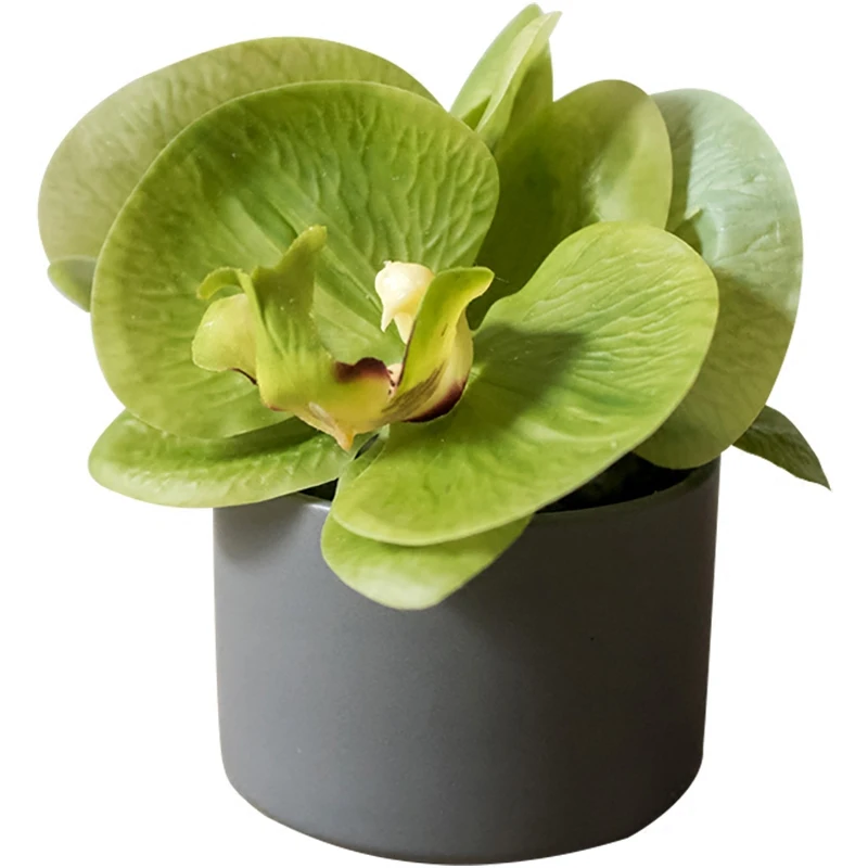 Small Simulation Phalaenopsis Bonsai 5-Color Desktop End Table Table Display Decoration Gift
