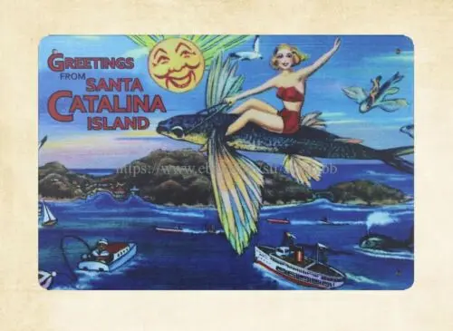 home interior ideas Catalina island Flying Fish metal tin sign