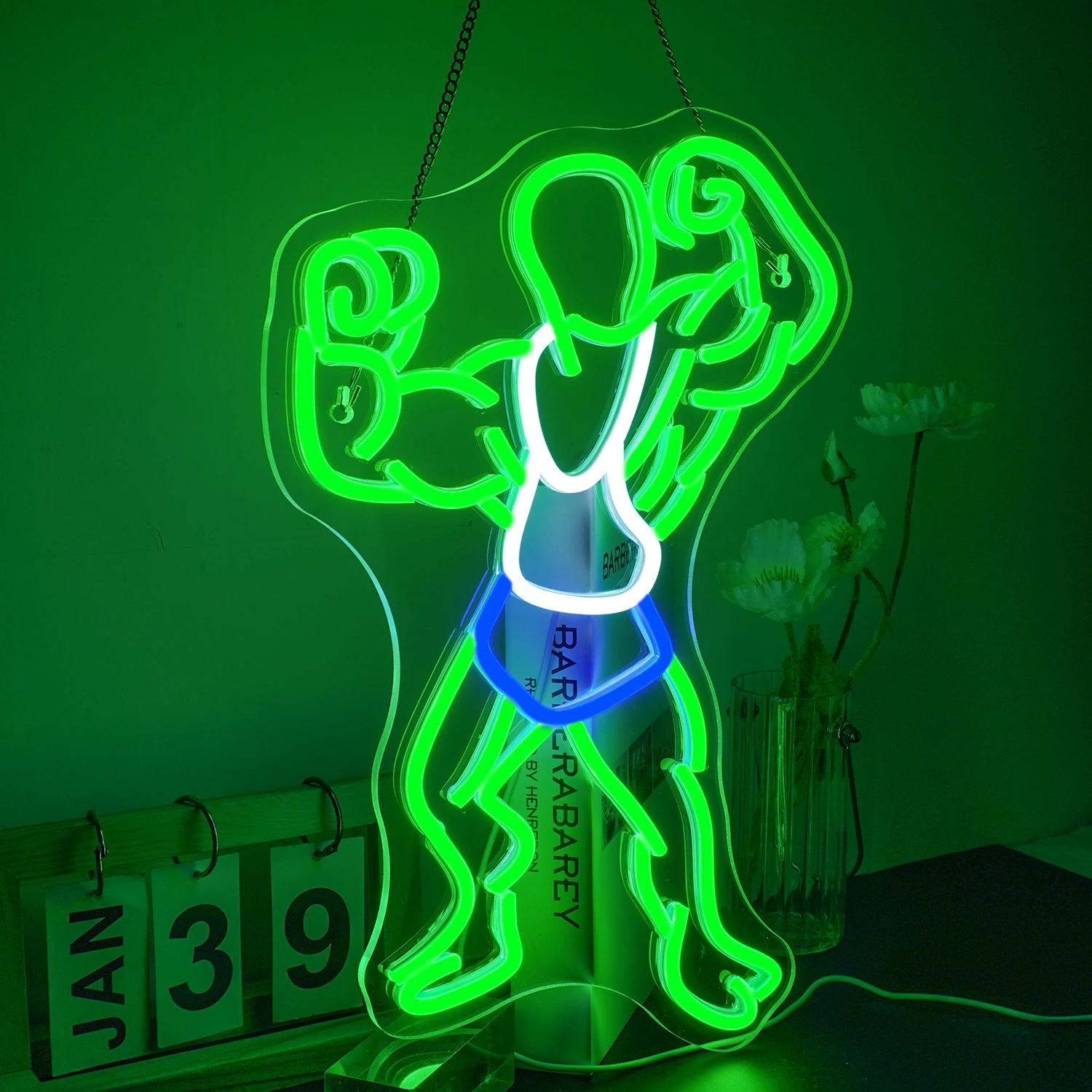 Alien Fitness Neon Sign For Wall Deocr Creative Dimmbale Led Lights For Gym Bar Party Sports Club USB Powered Room Decoration