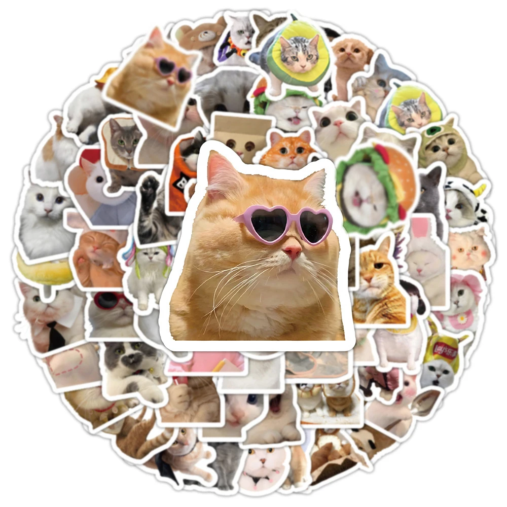 10/30/50/100pcs Animal Cat Funny Meme Stickers Cute Kitten Decals DIY Water Bottle Phone Luggage Bike Cartoon Sticker Decoration